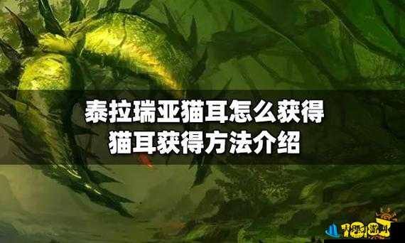 泰拉瑞亚猫耳饰品获取攻略及其独特魅力深度解析